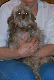 DaisyH.jpg