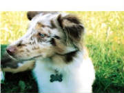 sprocket2.jpg