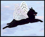 FlyinSchip.gif