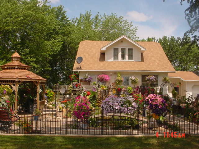 FrontyardJuly06.jpg