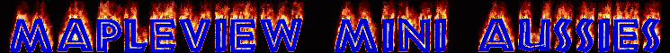 Mapleviewminiaussies.gif
