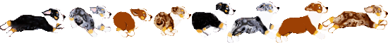 apuprunbar1231.gif