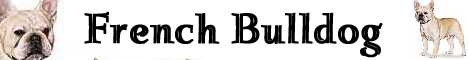 frenchbulldogbanner1.jpg