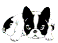 frenchiebarking.gif
