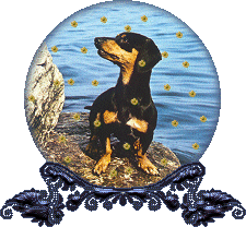globe17.gif