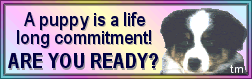 lifelongcommitment.gif