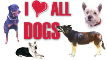 luvdogs.jpg